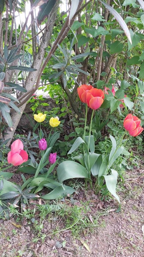 Corte Martinola Bed&Breakfast In Franciacorta Ome Ngoại thất bức ảnh