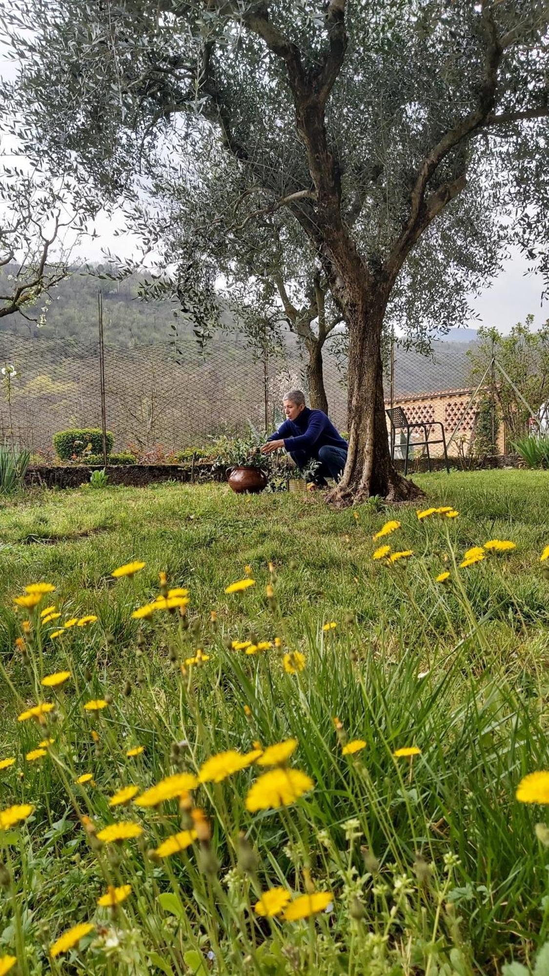 Corte Martinola Bed&Breakfast In Franciacorta Ome Ngoại thất bức ảnh